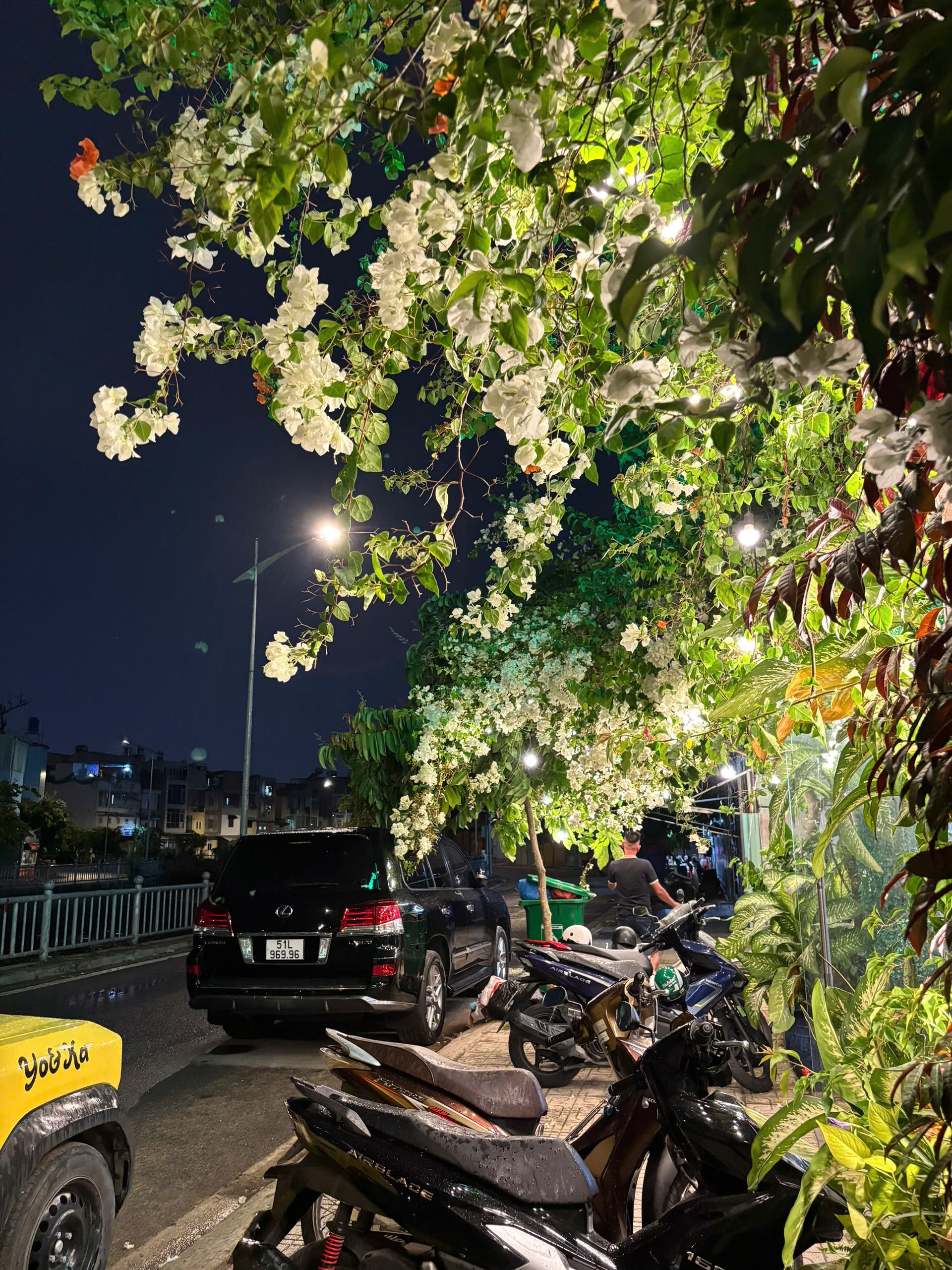 Mạ Tôi HCM - CN Gò Vấp - Không gian ngoài trời